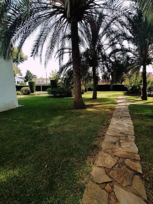 Studio Paris Apartman Estepona Kültér fotó